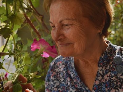 畑[はたけ]の不思議[ふしぎ]